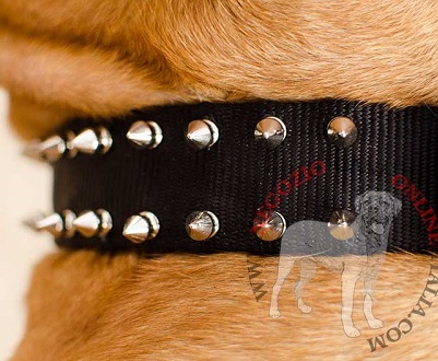 Elegante collare in nylon con decorazioni per Dogue de Bordeaux - Clicca l'immagine per chiudere