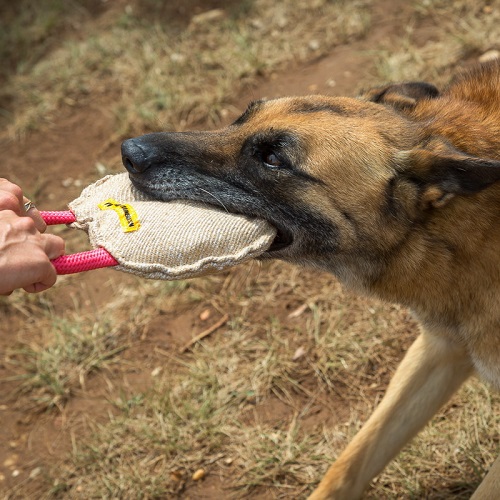 Cuscino da mordere rotondo game per cane